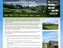 Tablet Screenshot of lowertownfarmdartmoor.co.uk
